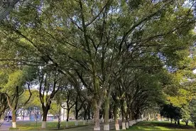 “00后”立遗嘱：5年里“我”写下13份遗嘱图片