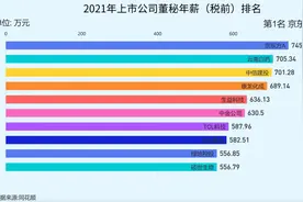 A股董秘薪资谁家强？2021年京东方A董秘年薪超745万元问鼎图片