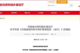 严控树木砍伐、迁移！河南城市树木保护管理新规试行图片