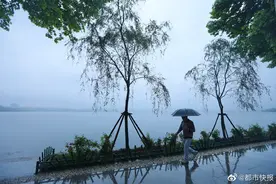 西湖“柳浪闻莺”补种柳树与原貌差异大，景区：立即更换图片