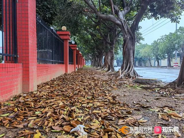 �ع⣡弲���ɳ����Щ�ط������Ҳ����ͻ����