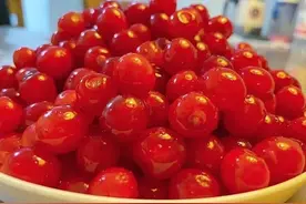 @青岛人：这个周末，“樱桃自由”走起！采摘园、线路、品种、天气…你想知道的都在这里图片