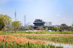 打造最美城央湿地图片