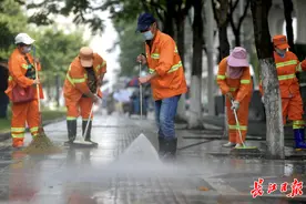 栾树掉“油”弄得马路黏糊糊，他们反复做一件事让你鞋底不再粘图片