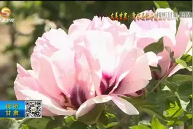 午间20分（2022年5月14日）视频封面