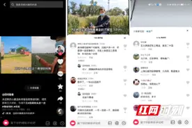 收割青小麦当饲料，一亩可卖1500元？专家：此举赚钱不靠谱图片