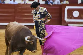 西班牙赫雷斯举行斗牛盛会 比赛现场紧张刺激图片