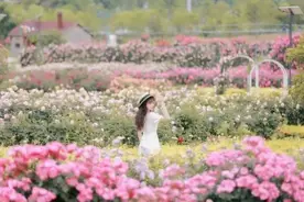 15日起，这些景区对这些人免门票图片