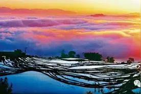 中国四大主粮，碳水到底有多重要图片