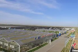 中国第八大沙漠变迁记：从“一年一场风”到沙里来掘金图片