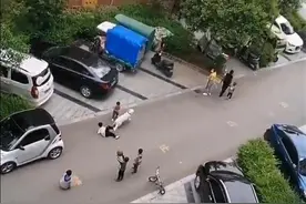 大狗不栓绳小区内撞倒7岁男童，家长与狗主人发生冲突图片