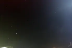 @东营人 杨絮柳絮满城飞 过敏体质需重视防护图片