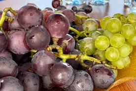 葡萄甜了 张家湾700年种植史，成就“北京吐鲁番”图片