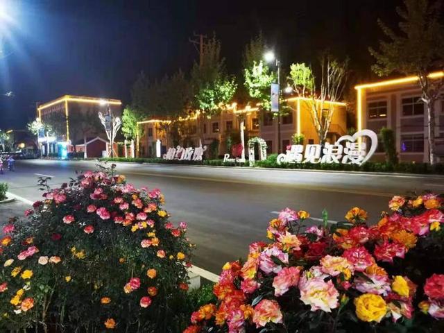开启玫瑰之旅，邂逅浪漫时光赏花专线