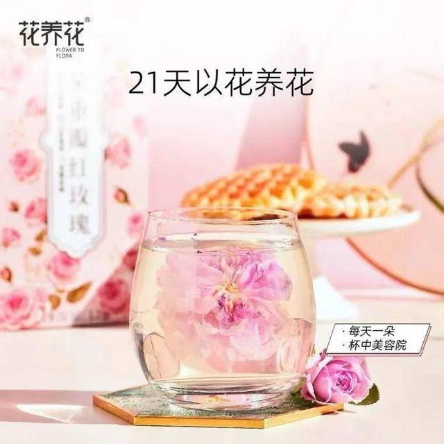 开启玫瑰之旅，邂逅浪漫时光赏花专线
