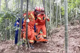 义乌男子上山采药被竹叶青咬伤，这些自救方法要记牢图片