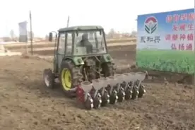 “通河旱稻”闯出生态稻种植新路径图片