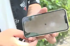 男子露营被蜱虫叮咬，一半虫身钻进体内！露营，你该注意这些……图片