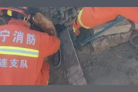 黑蛇进家，2米长！遇蛇咋办？图片