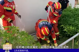 韶关：3米长眼镜王蛇藏身居民楼 消防员出手“请走”视频封面