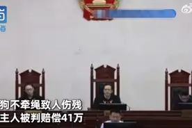 遛狗时一个动作，赔41万元图片