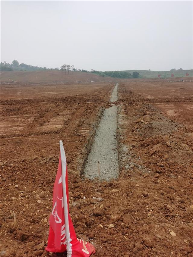 尾矿库闭库