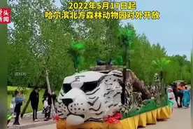 哈尔滨北方森林动物园5月17日开放！预约方式在这里图片