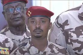 这个法国前殖民地，爆发反法游行图片