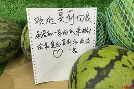 小象莫莉抵达昆明动物园，“象粉”买来满满一车水果欢迎它回家图片
