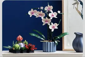 购时髦｜盲选不出错的520礼物清单，和送礼恐惧症说再见 | 封面天天见·逛姐出街图片