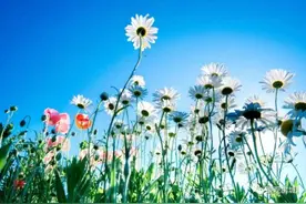 认取你一如初见图片