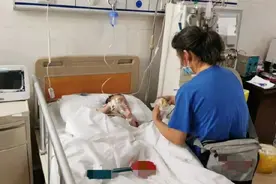 “哥哥，我带你回家！”4岁哥哥患病，2岁弟弟忍住不哭为他提供骨髓移植图片