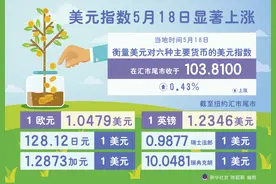 （图表）［财经·行情］美元指数5月18日显著上涨图片