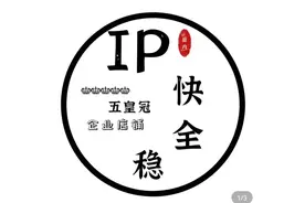 公安部：清理整治动态IP代理服务乱象图片