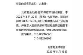 北京野生动物园：5月20日恢复开放图片