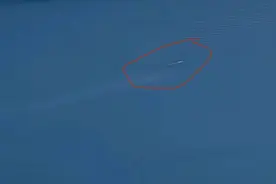 喀纳斯湖再现巨型“湖怪”？景区工作人员：那就是哲罗鲑图片