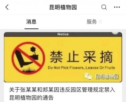 三国大盗（张某某）