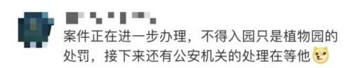张某某，3年内禁入！郑某，终身禁入