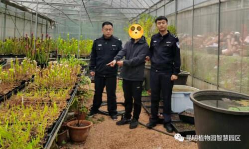 张某某，3年内禁入！郑某，终身禁入