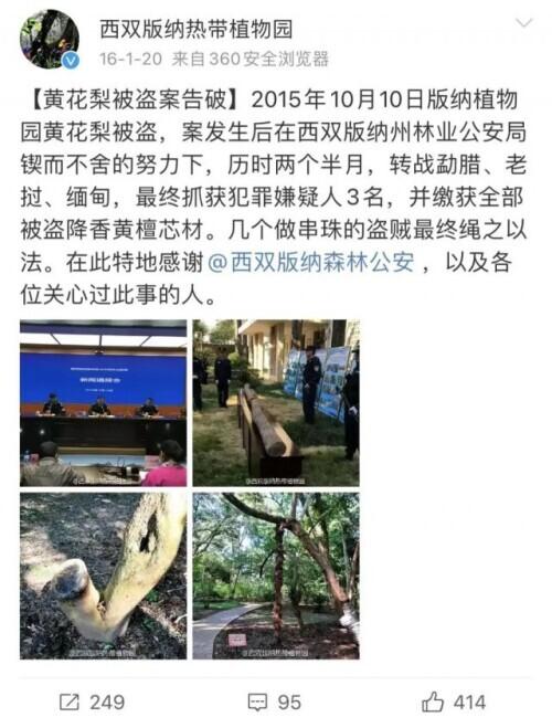 张某某，3年内禁入！郑某，终身禁入