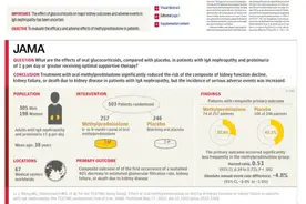 中国学者牵头研究证实糖皮质激素可明显减少IgA肾病患者发生尿毒症风险图片