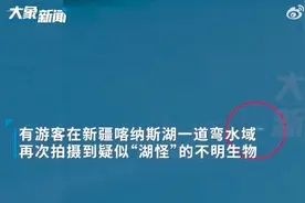 游客在新疆喀纳斯湖拍到不明生物？景区回应图片