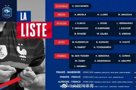 法国队大名单出炉图片