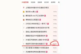 杨丽萍在线面试！千万网友围观图片