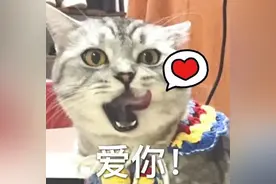 速度围观！这条横穿龙岗的免费高速有新动静～图片