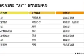 海外NFT缩水万倍，国内数字藏品平台激增，都在发行什么？图片