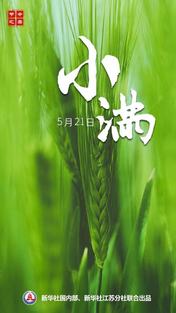 节气小满代表什么意思（小满的满指的是什么小满节气有什么特点）