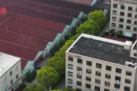 余姚榨菜：一棵菜头的变与不变图片