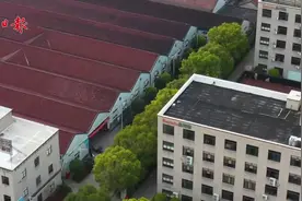 余姚榨菜：一棵菜头的变与不变图片