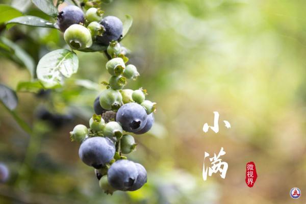 小满，刚刚好的美